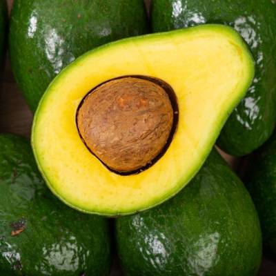 L Avocat Tropical Mon Marche Fr